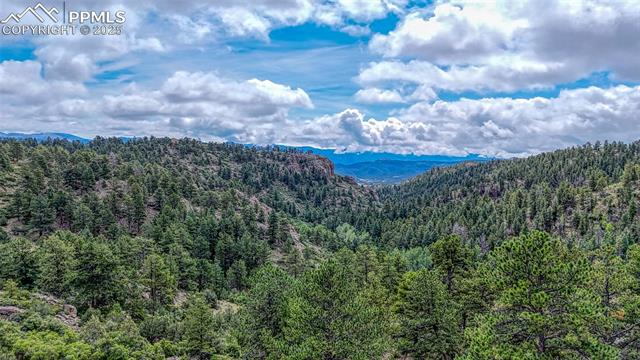MLS Image for 62  Cheyenne  ,Florissant, Colorado