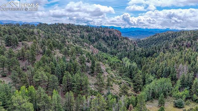 MLS Image for 62  Cheyenne  ,Florissant, Colorado