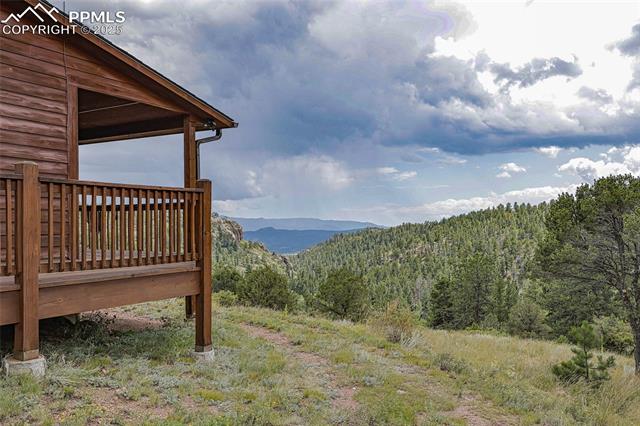 MLS Image for 62  Cheyenne  ,Florissant, Colorado