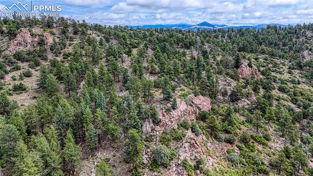 MLS Image for 62  Cheyenne  ,Florissant, Colorado