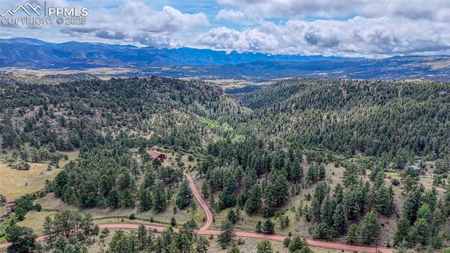 MLS Image for 62  Cheyenne  ,Florissant, Colorado