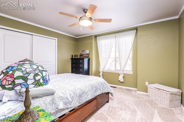 MLS Image for 5540  Prairie Schooner  ,Colorado Springs, Colorado