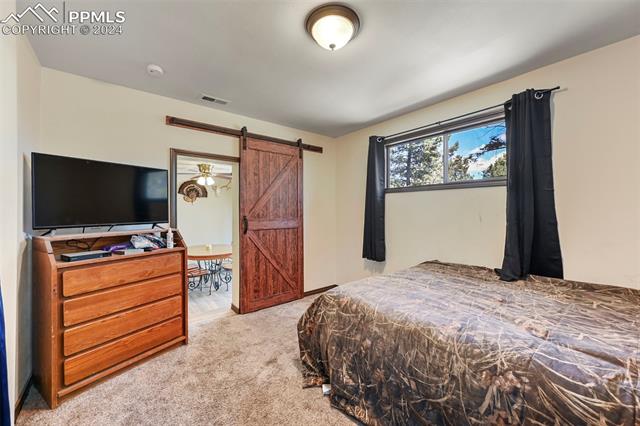 MLS Image for 753  Will Stutley  ,Divide, Colorado