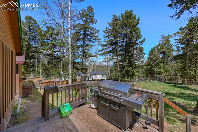 MLS Image for 753  Will Stutley  ,Divide, Colorado