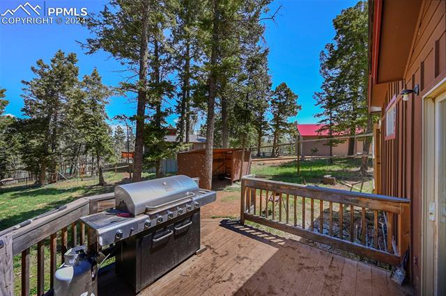 MLS Image for 753  Will Stutley  ,Divide, Colorado