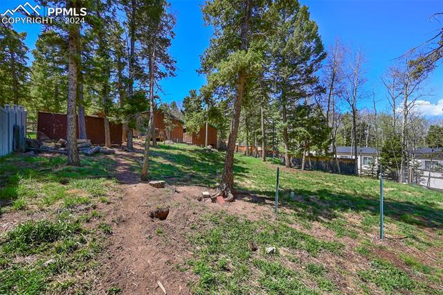 MLS Image for 753  Will Stutley  ,Divide, Colorado