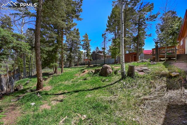 MLS Image for 753  Will Stutley  ,Divide, Colorado