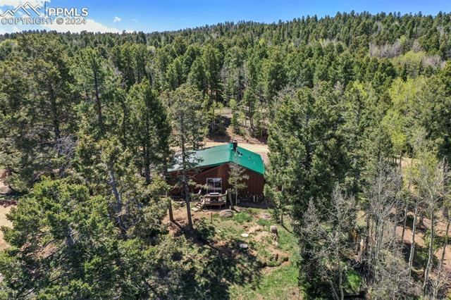 MLS Image for 753  Will Stutley  ,Divide, Colorado