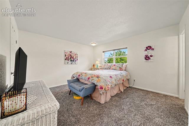 MLS Image for 5393  Galena  ,Colorado Springs, Colorado