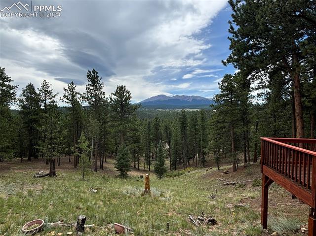 MLS Image for 108  Cedar  ,Woodland Park, Colorado