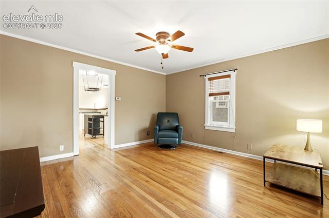 MLS Image for 505 N Cedar  ,Colorado Springs, Colorado
