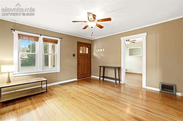 MLS Image for 505 N Cedar  ,Colorado Springs, Colorado