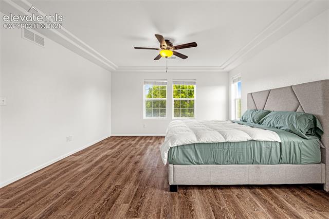 MLS Image for 2453  Fruited Plains  ,Colorado Springs, Colorado