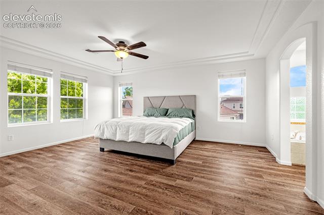 MLS Image for 2453  Fruited Plains  ,Colorado Springs, Colorado