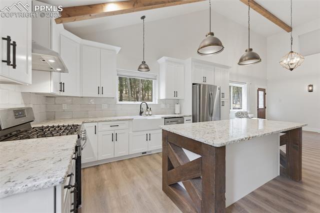 MLS Image for 294  Southpark  ,Florissant, Colorado
