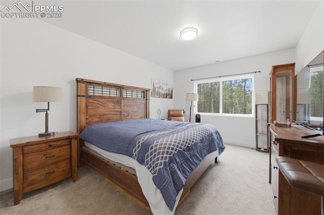 MLS Image for 294  Southpark  ,Florissant, Colorado