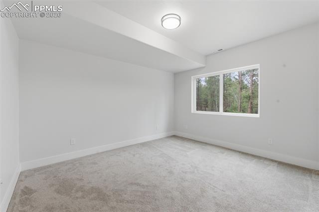 MLS Image for 294  Southpark  ,Florissant, Colorado