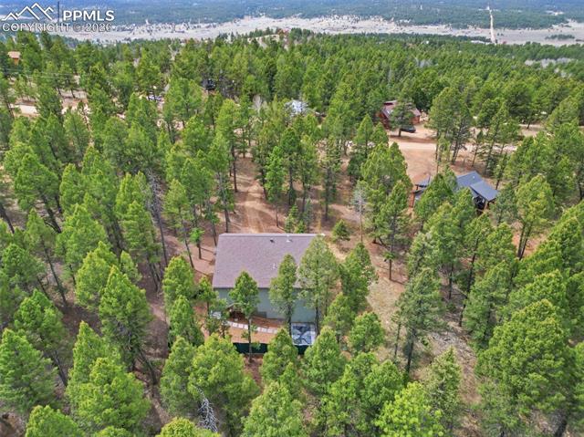 MLS Image for 294  Southpark  ,Florissant, Colorado