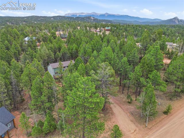 MLS Image for 294  Southpark  ,Florissant, Colorado