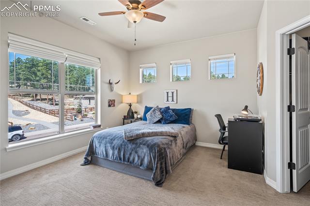 MLS Image for 16231  Thunder Cat  ,Monument, Colorado