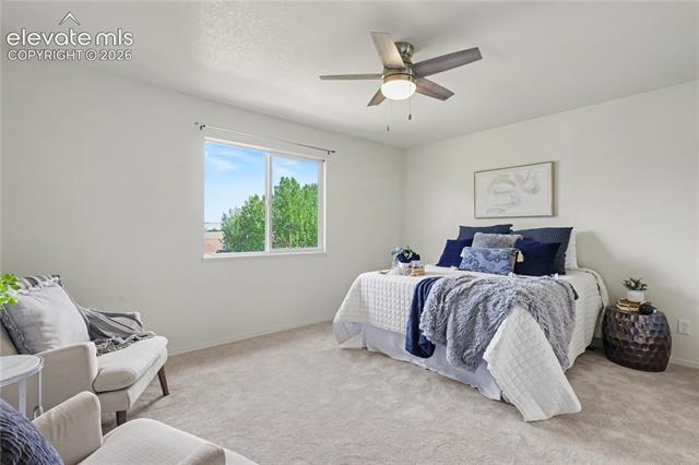 MLS Image for 6910  Ketchum  ,Colorado Springs, Colorado