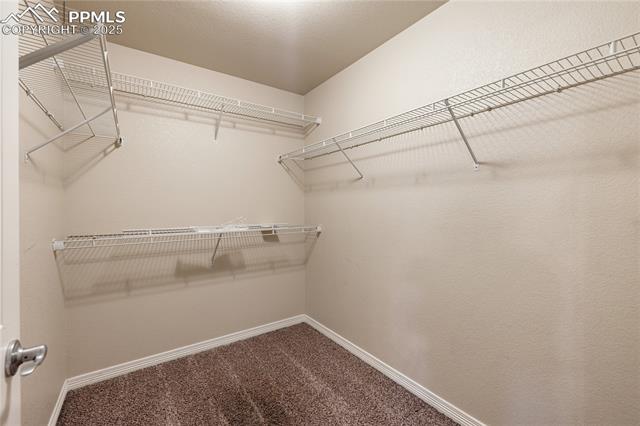 MLS Image for 10525  Abrams  ,Colorado Springs, Colorado