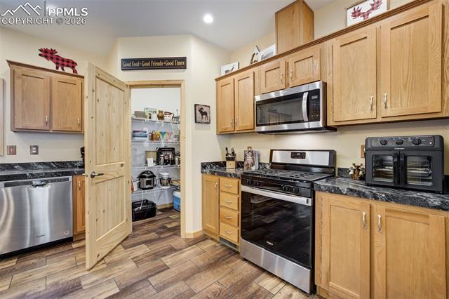 MLS Image for 858  Fossil Creek  ,Florissant, Colorado
