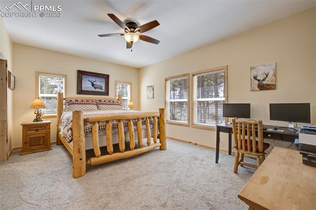 MLS Image for 858  Fossil Creek  ,Florissant, Colorado