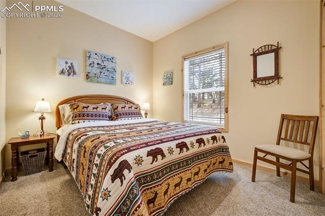 MLS Image for 858  Fossil Creek  ,Florissant, Colorado