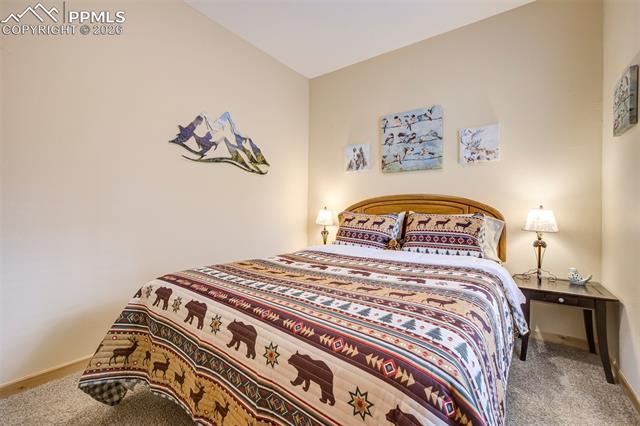 MLS Image for 858  Fossil Creek  ,Florissant, Colorado