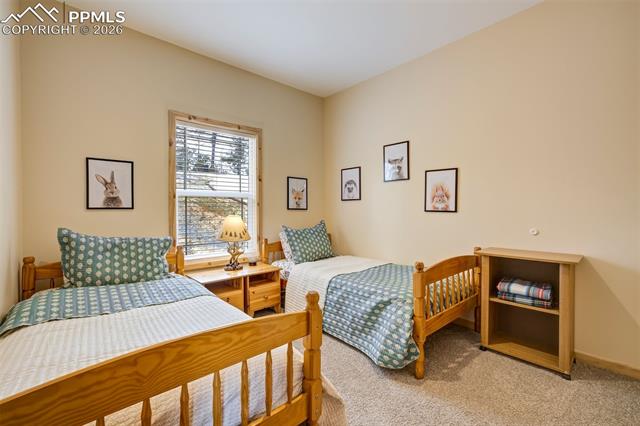 MLS Image for 858  Fossil Creek  ,Florissant, Colorado