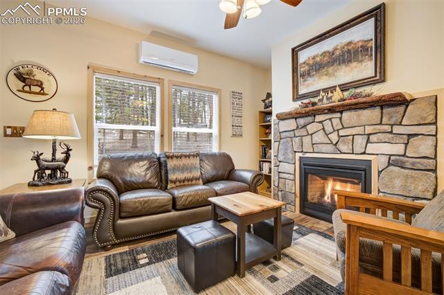MLS Image for 858  Fossil Creek  ,Florissant, Colorado