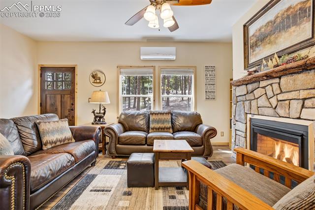 MLS Image for 858  Fossil Creek  ,Florissant, Colorado