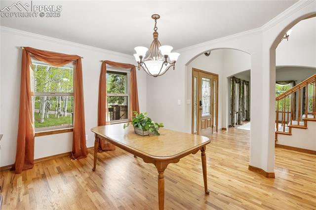 MLS Image for 407  Oxford  ,Woodland Park, Colorado