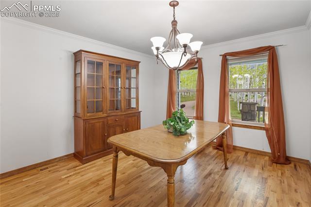 MLS Image for 407  Oxford  ,Woodland Park, Colorado