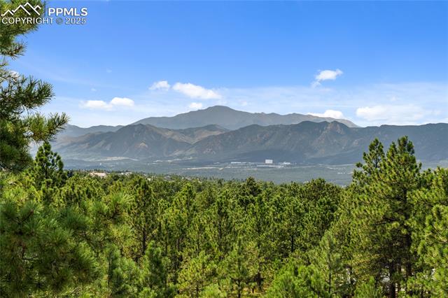 MLS Image for 17715  Radbourne  ,Monument, Colorado