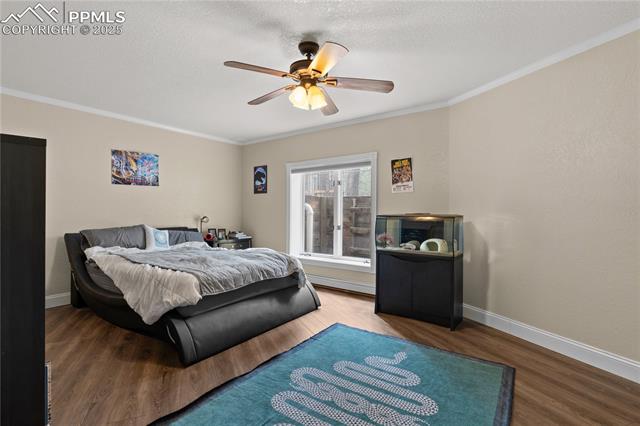 MLS Image for 17715  Radbourne  ,Monument, Colorado