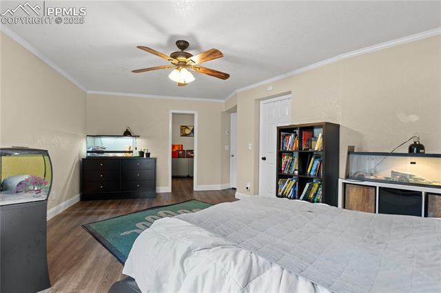 MLS Image for 17715  Radbourne  ,Monument, Colorado