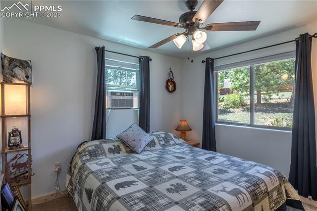 MLS Image for 874  Hackamore  ,Florissant, Colorado