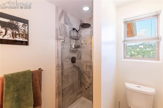 MLS Image for 874  Hackamore  ,Florissant, Colorado