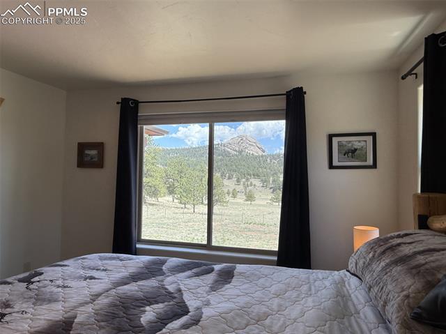 MLS Image for 874  Hackamore  ,Florissant, Colorado