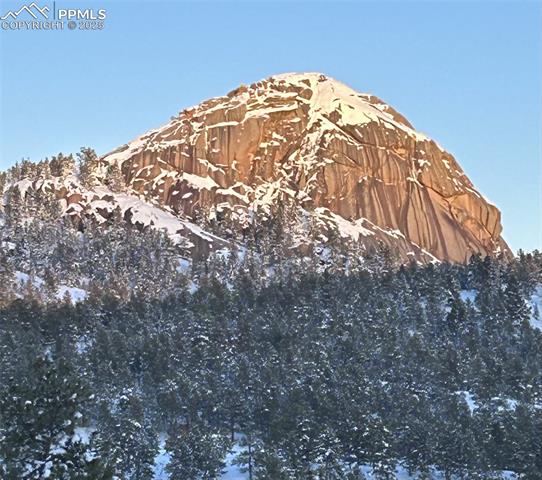 MLS Image for 874  Hackamore  ,Florissant, Colorado