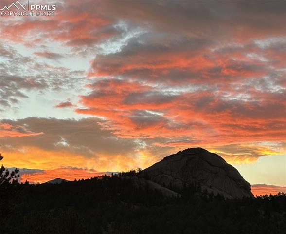 MLS Image for 874  Hackamore  ,Florissant, Colorado