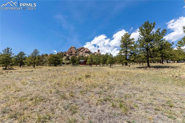 MLS Image for 874  Hackamore  ,Florissant, Colorado