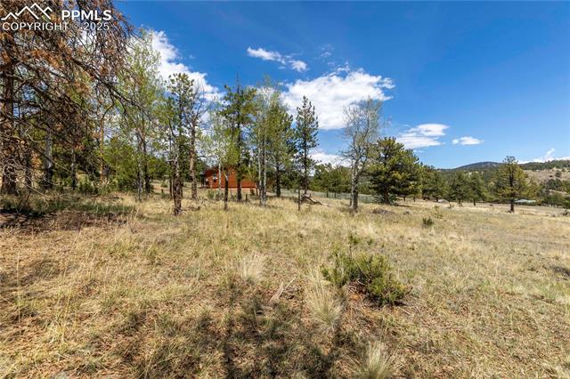 MLS Image for 874  Hackamore  ,Florissant, Colorado