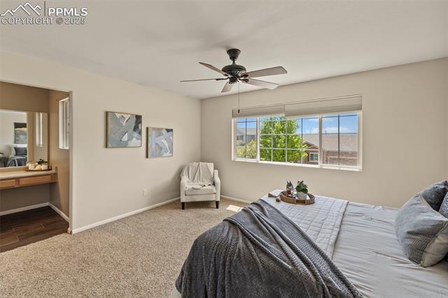 MLS Image for 6238  Alibi  ,Colorado Springs, Colorado
