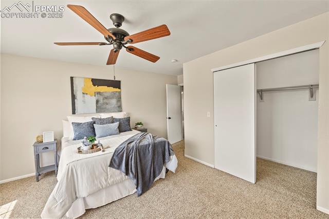MLS Image for 6238  Alibi  ,Colorado Springs, Colorado