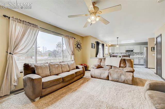 MLS Image for 4430  Gunbarrel  ,Colorado Springs, Colorado