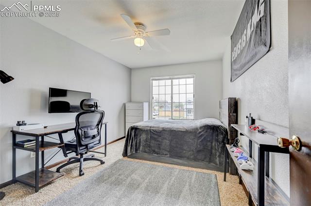 MLS Image for 4430  Gunbarrel  ,Colorado Springs, Colorado