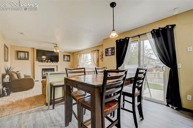 MLS Image for 4430  Gunbarrel  ,Colorado Springs, Colorado